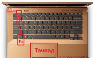 Kako onemogućiti touchpad na prijenosnom računalu?
